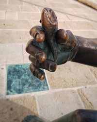 Close-up of lizard on wood