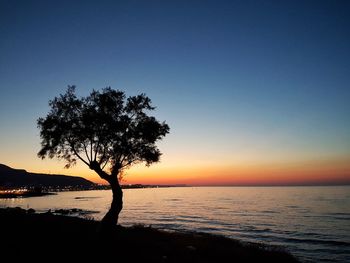 Silhouette tree on beach against clear sky at sunset