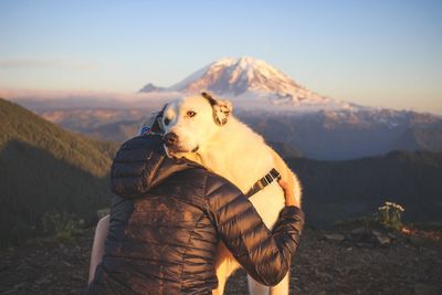 View of a horse on mountain against sky