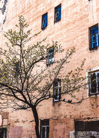 Low angle view of old building