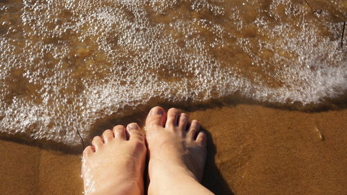 Low section of woman on shore at beach