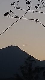 Low angle view of silhouette bird on mountain against sky