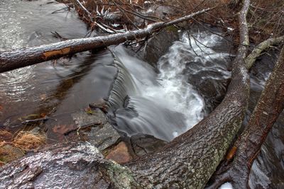 Scenic view of waterfall in forest