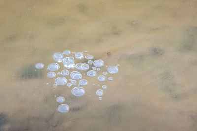 High angle view of bubbles