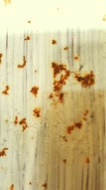 Full frame shot of coffee