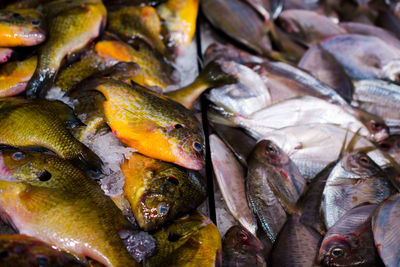 Full frame shot of fish for sale at market
