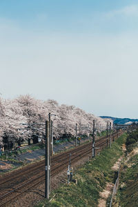 Fence on field by road against sky