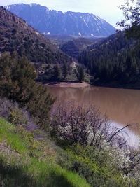 Scenic view of lake and mountains