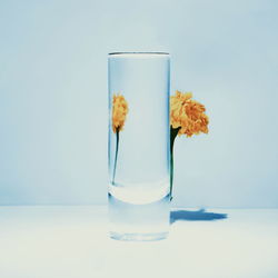 Close-up of drink in glass on table against blue background