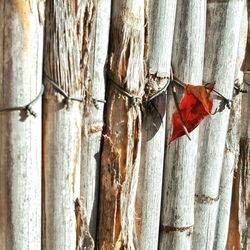 Low angle view of hanging outdoors