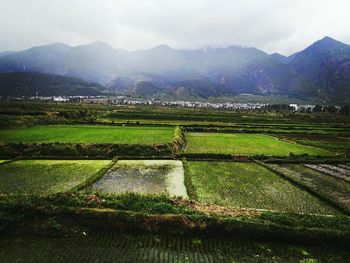 Scenic view of grassy field against sky