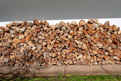 Stack of logs in forest