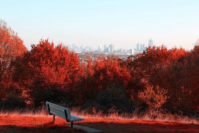 Trees in park during autumn against sky