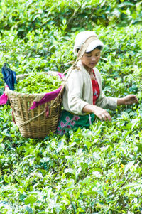 Woman in basket