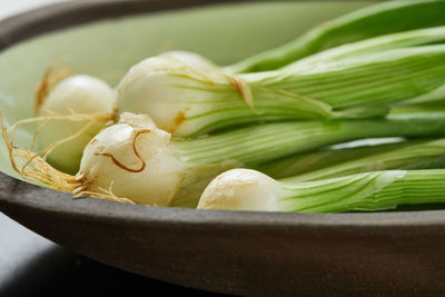 High angle view of vegetables in bowl on table