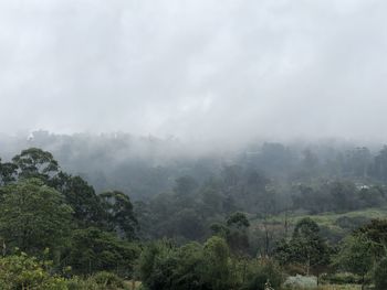 Scenic view of landscape against sky