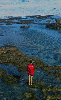 Rear view of boy standing at beach