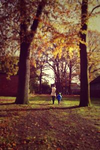 People standing on tree trunk in park