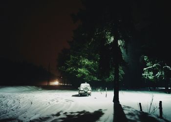 Silhouette of trees at night