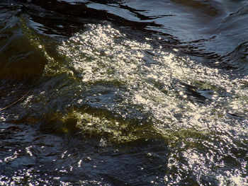 Reflection of trees in water