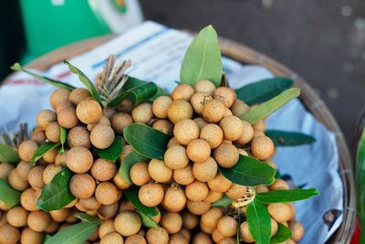 A bowl of fresh longan. a tropical fruit similar to a lychee.