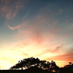 Low angle view of silhouette trees against sky during sunset