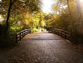 Narrow walkway along trees in park