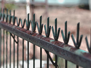 Close-up of a rusty old fence