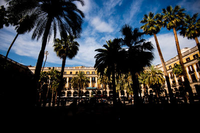 Silhouette of trees and buildings in city