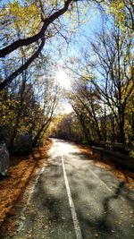 Road passing through trees