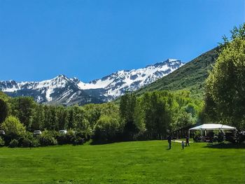 Scenic view of golf course against clear blue sky