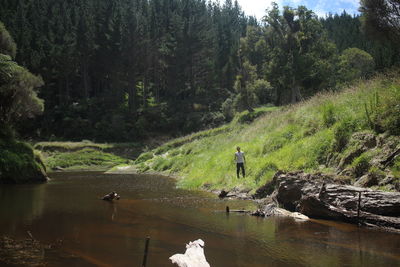 Scenic view of lake in forest