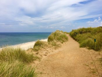 Scenic view of beach