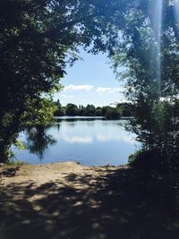 Reflection of trees in lake