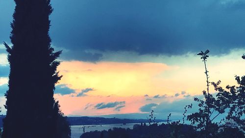 Silhouette trees against sky during sunset