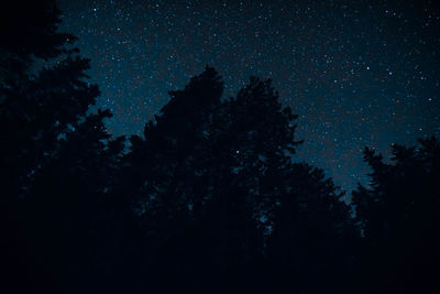 Low angle view of silhouette trees against sky at night