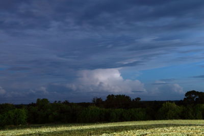 Scenic view of field against cloudy sky