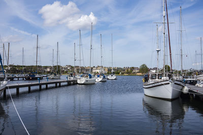 Sailboats moored in harbor