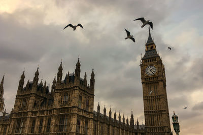 Low angle view of birds flying against sky during sunset at westminster and big ben in background.