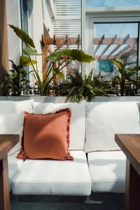 Interior of the cafe with sofa and pillows