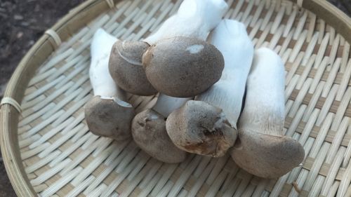 High angle view of mushrooms in basket on table