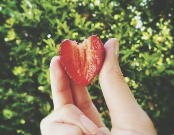 Close up of strawberry in woman' s hand