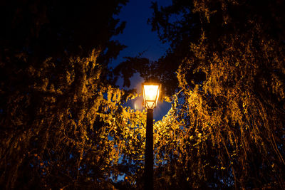 Low angle view of illuminated street light against sky at night