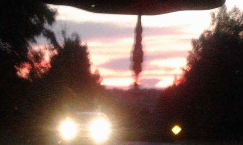 Silhouette trees against sky during sunset