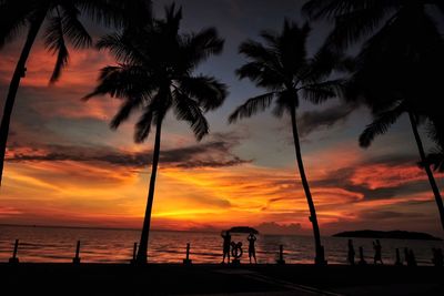 Silhouette of palm trees at dusk