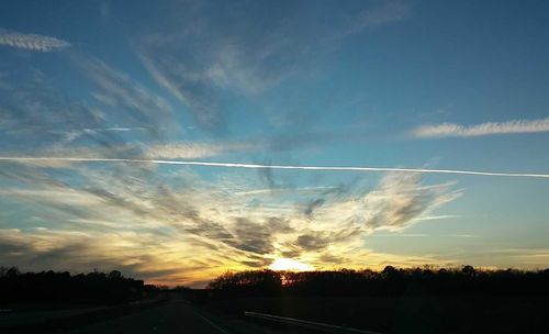 Silhouette of trees at sunset