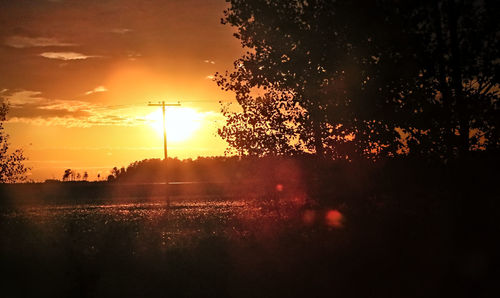 Sun shining through trees