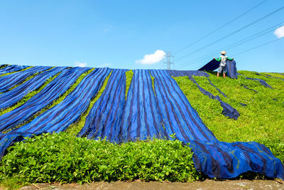 People working on field against blue sky