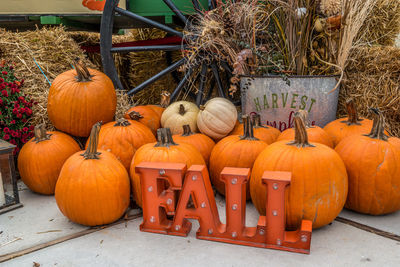 Pumpkins in market during autumn