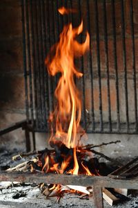 Bonfire on wooden log